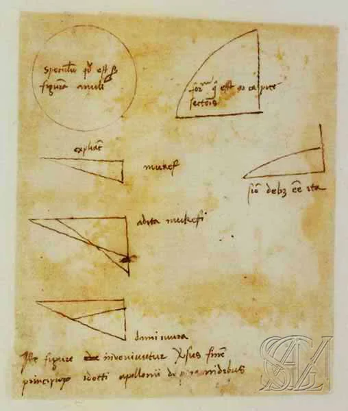 Codex_Atlanticus_Page_243_Image_0001.jpg