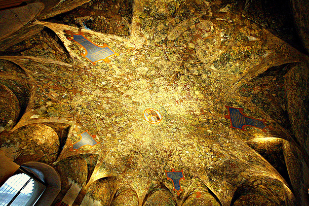 Sala Delle Asse Discovering Da Vinci