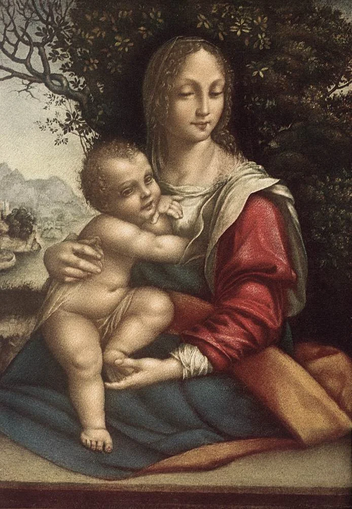 Cesare_Da_Sesto_-_Madonna_and_Child_-_WGA04684.jpg