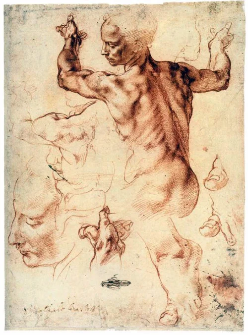 Michelangelo Buonarroti Studies for the Libyan Sibyl 1511-12
