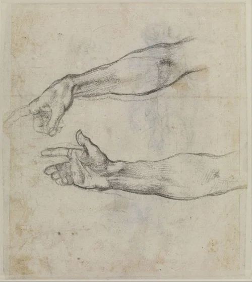 Michelangelo Buonarroti - sketch - arms.jpg