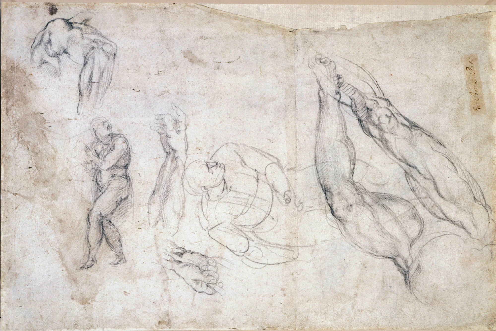 Michelangelo-Buonarroti--Drawing---Figure-Studies.jpg
