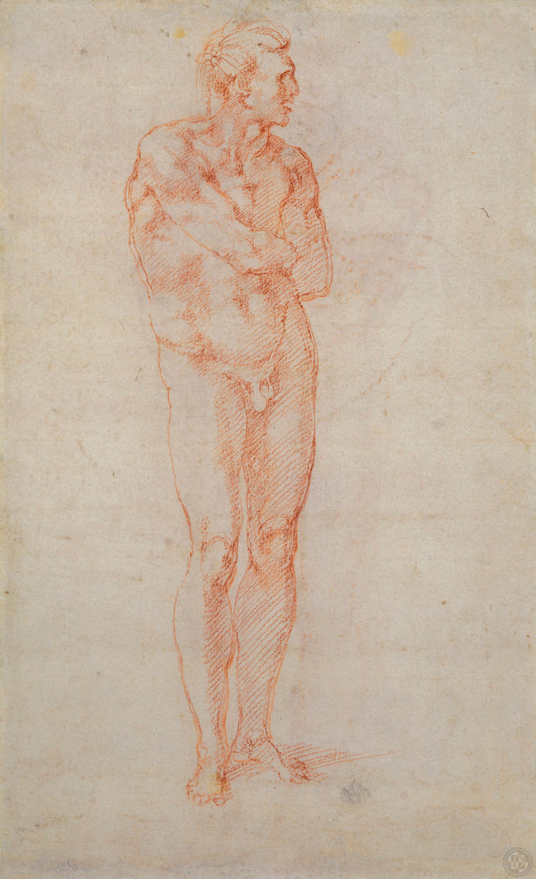Michelangelo Buonarroti Caprese 1475Rome 1564  An ideal female head