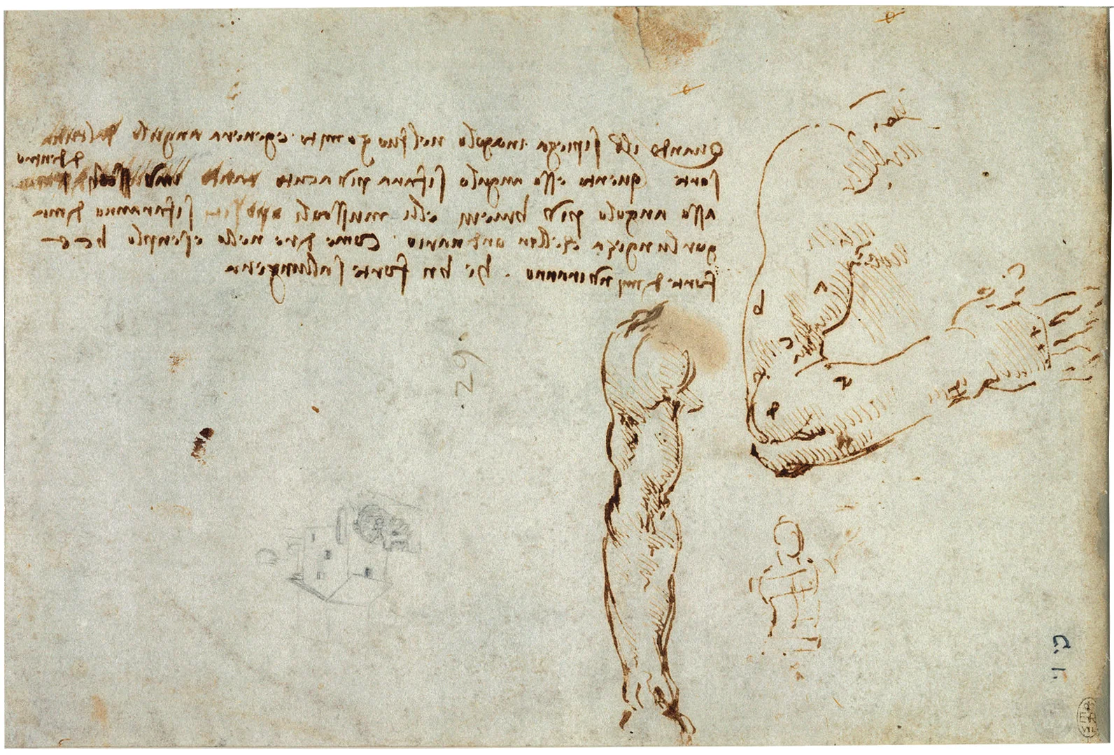 c.1508 Pen and ink and black chalk. 15.5 x 23.0 cm Description: "Two studies of a left arm and a small study of a torso between them, with lines showing the contraposto position. On the left is a sketch of a water-mill and trees, upside down.""