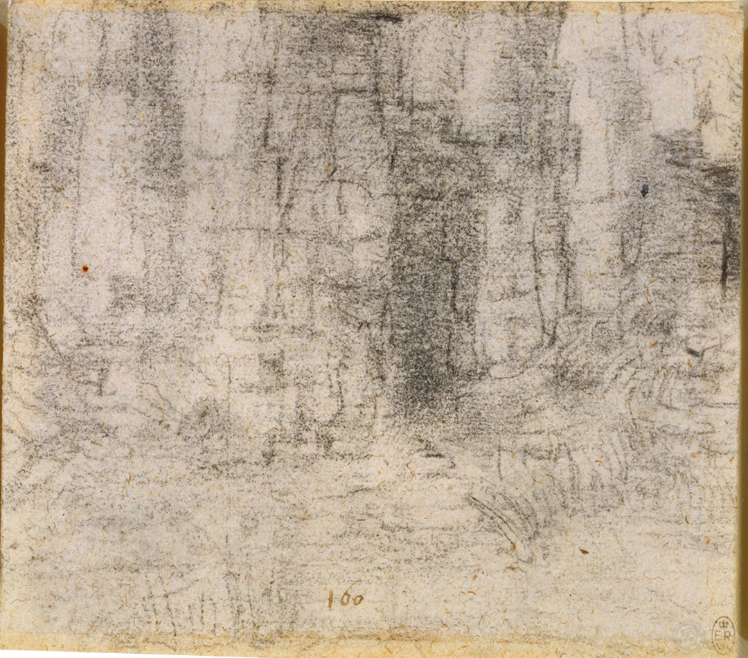 Cliff Face