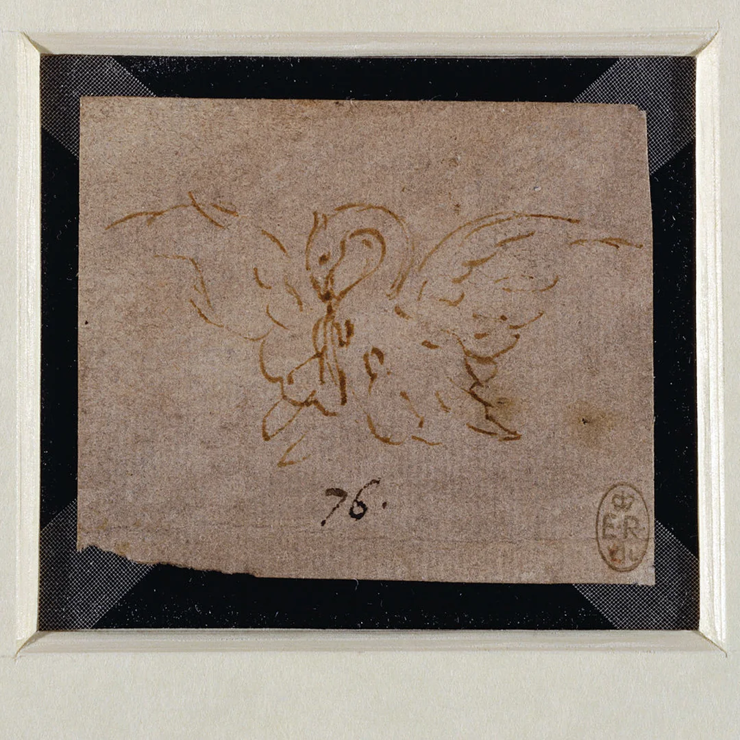 Leonardo-da-Vinci---Drawings---Swan.jpg
