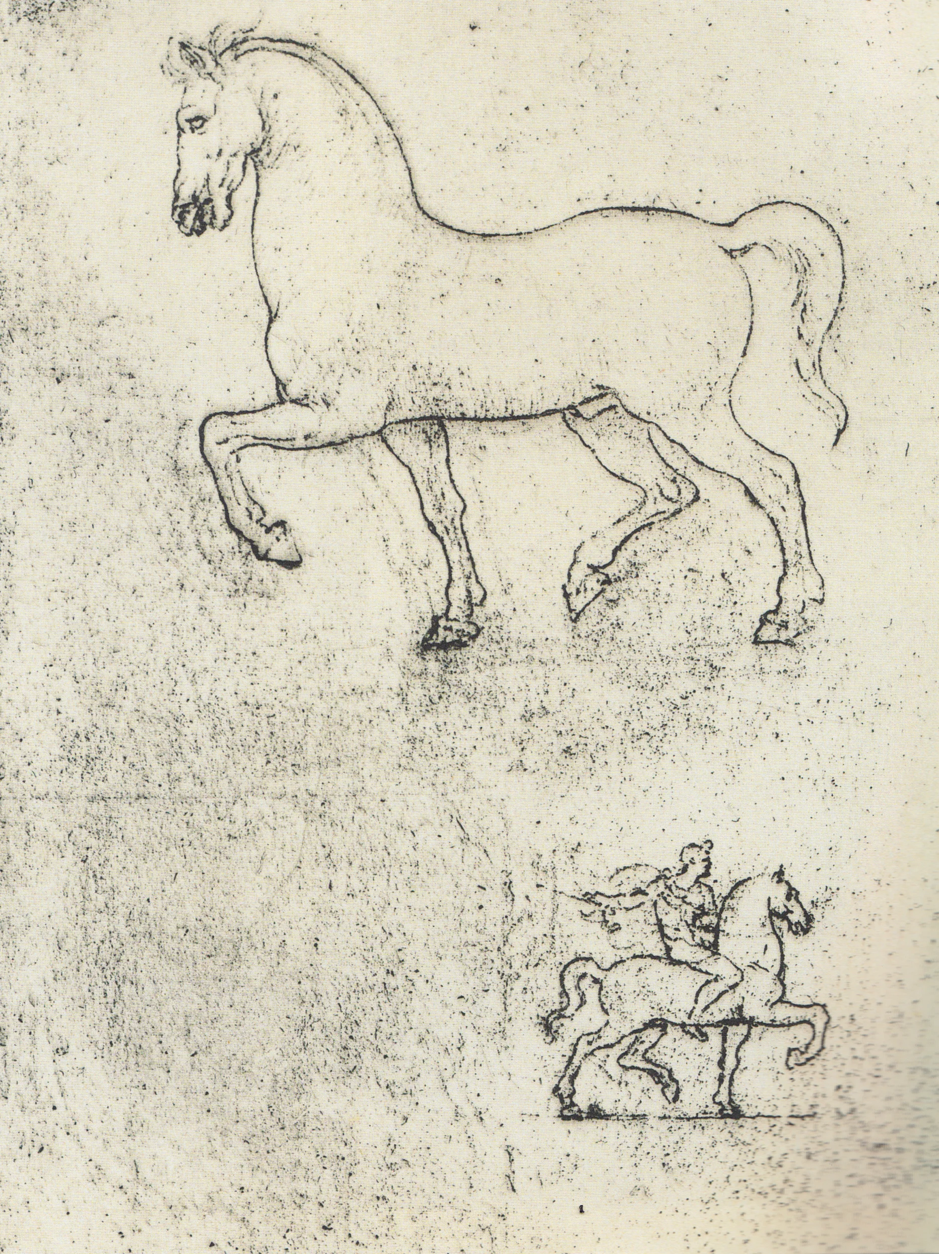 Leonardo da Vinci - Drawings - Animals - Horses - 07.jpg