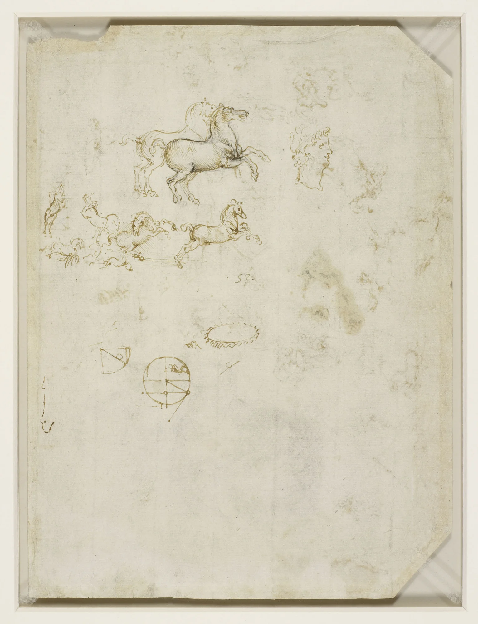 Leonardo da Vinci - Drawings - Animals -Horse head and Face in profile.jpg
