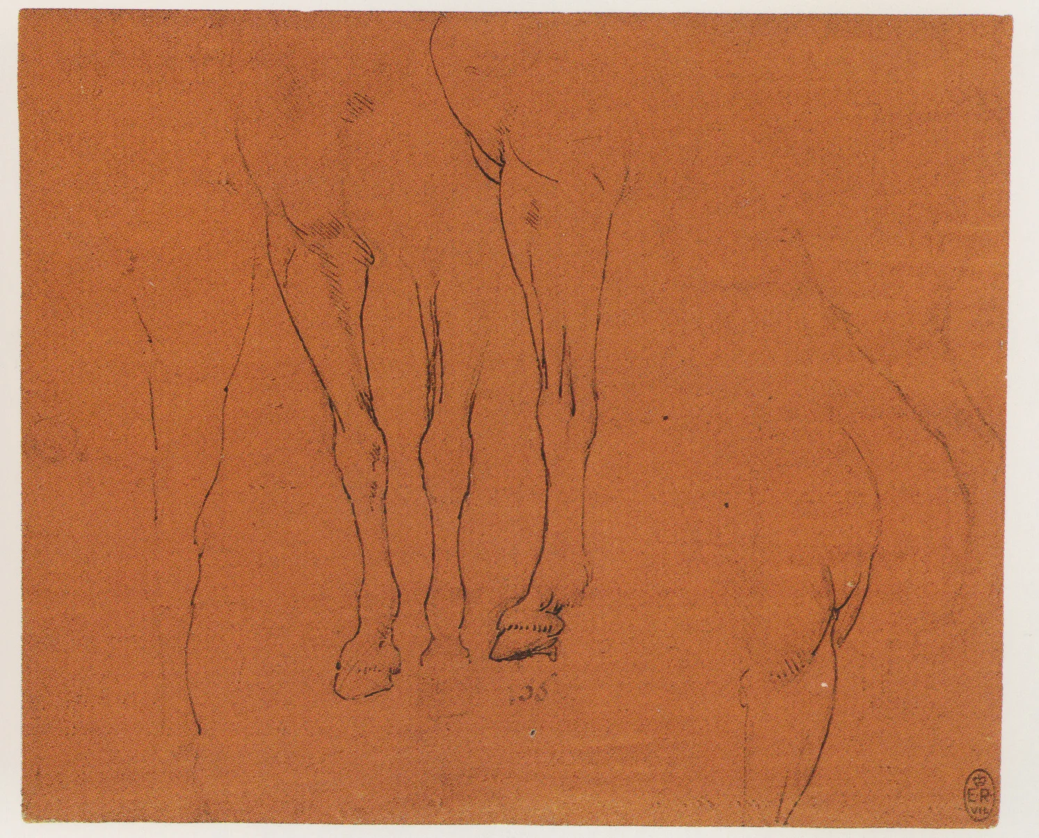 Leonardo-da-Vinci---Drawings---Animals--Horse Studies 1480 c.jpg