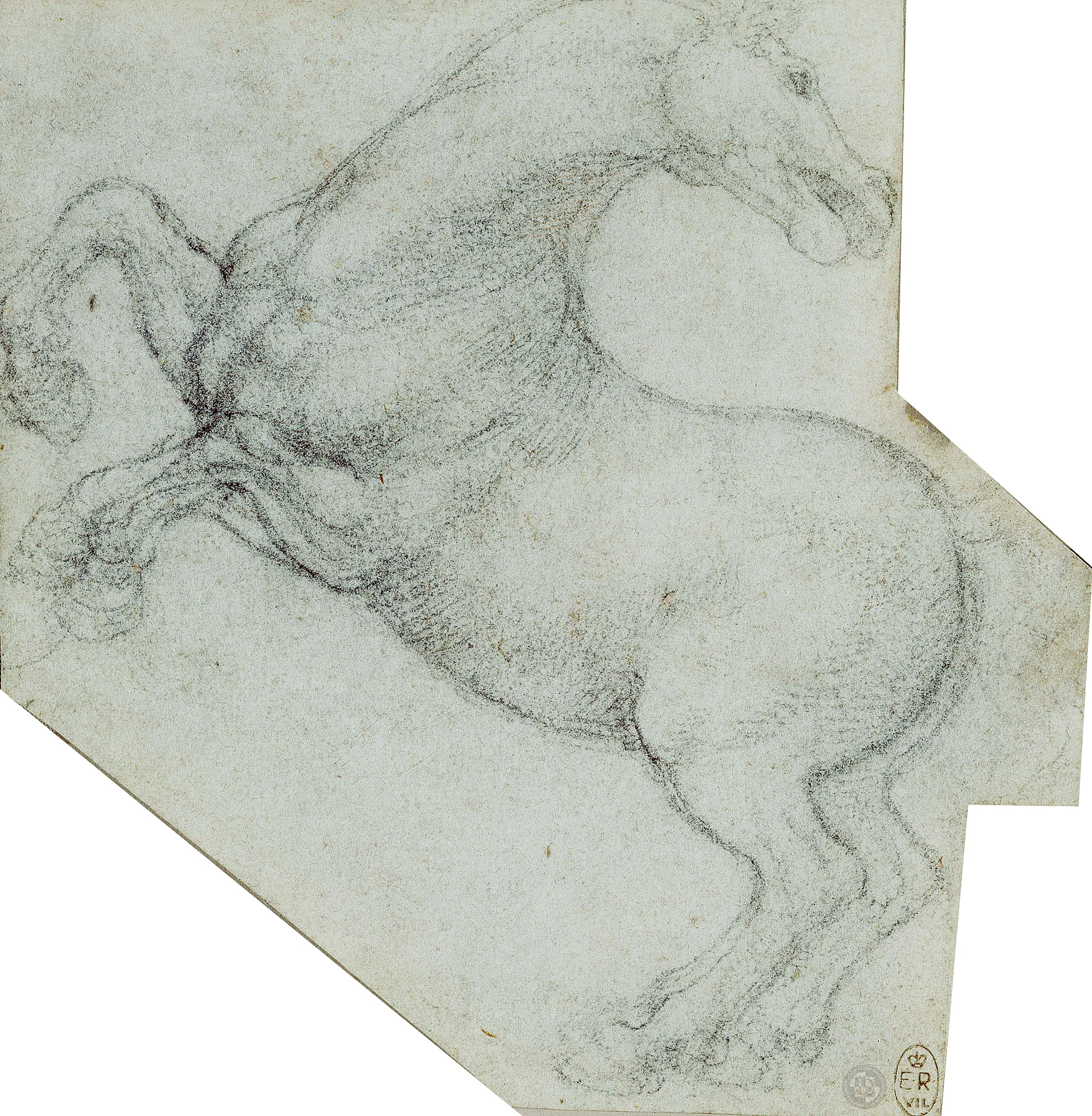 Leonardo-da-Vinci---Drawings---Animals---Horses---05.jpg