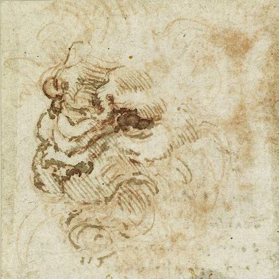 Leonardo-da-Vinci---Drawings---Animals---Lion face.jpg