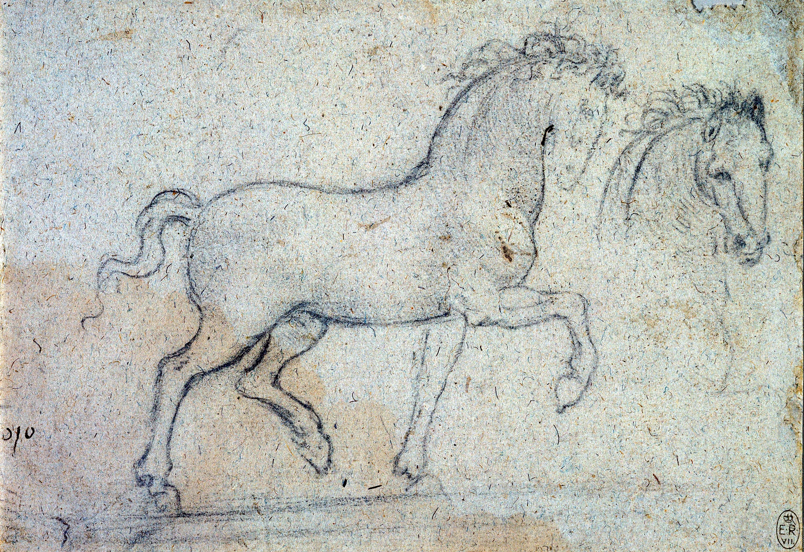 Leonardo-da-Vinci---Drawings---Animals--Horses-side.jpg