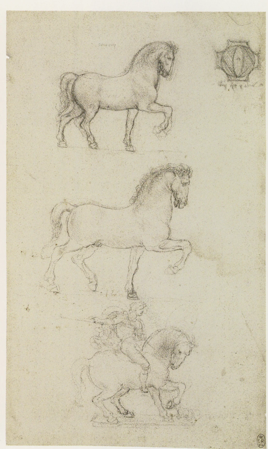 Study for the Trivulzio Monument 1508.jpg