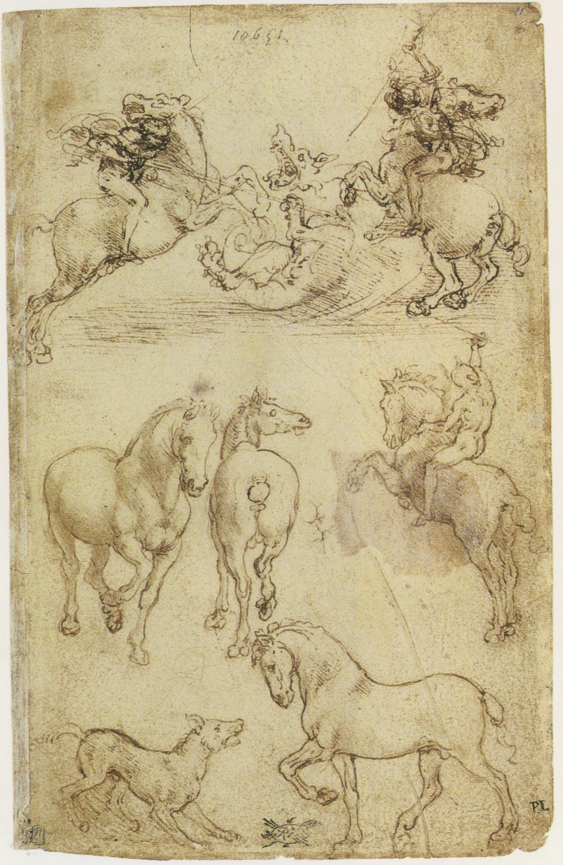 Two horsemen fighting a dragon and horse studies.jpg