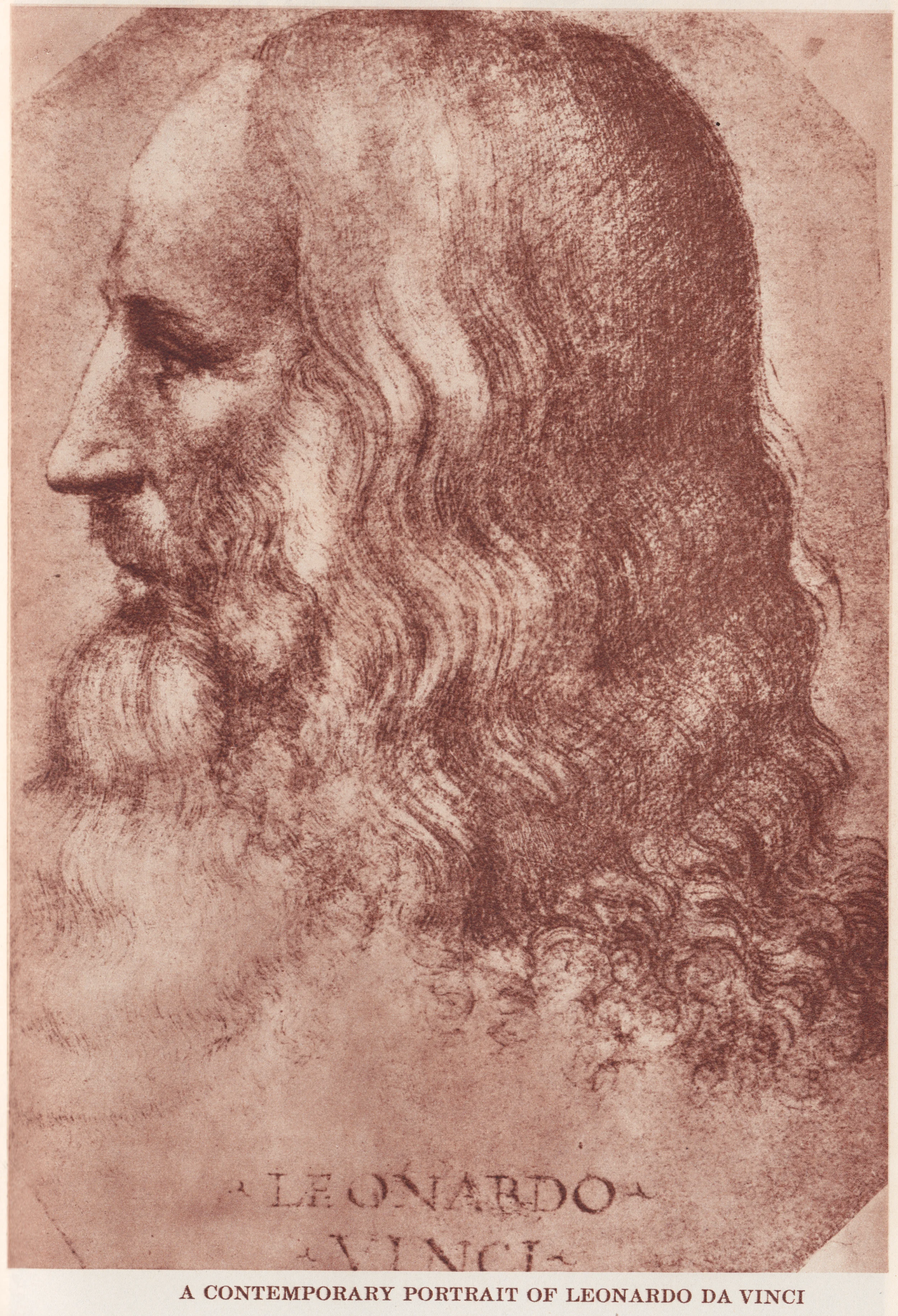 davinci-contempt-portrait--romance.jpg