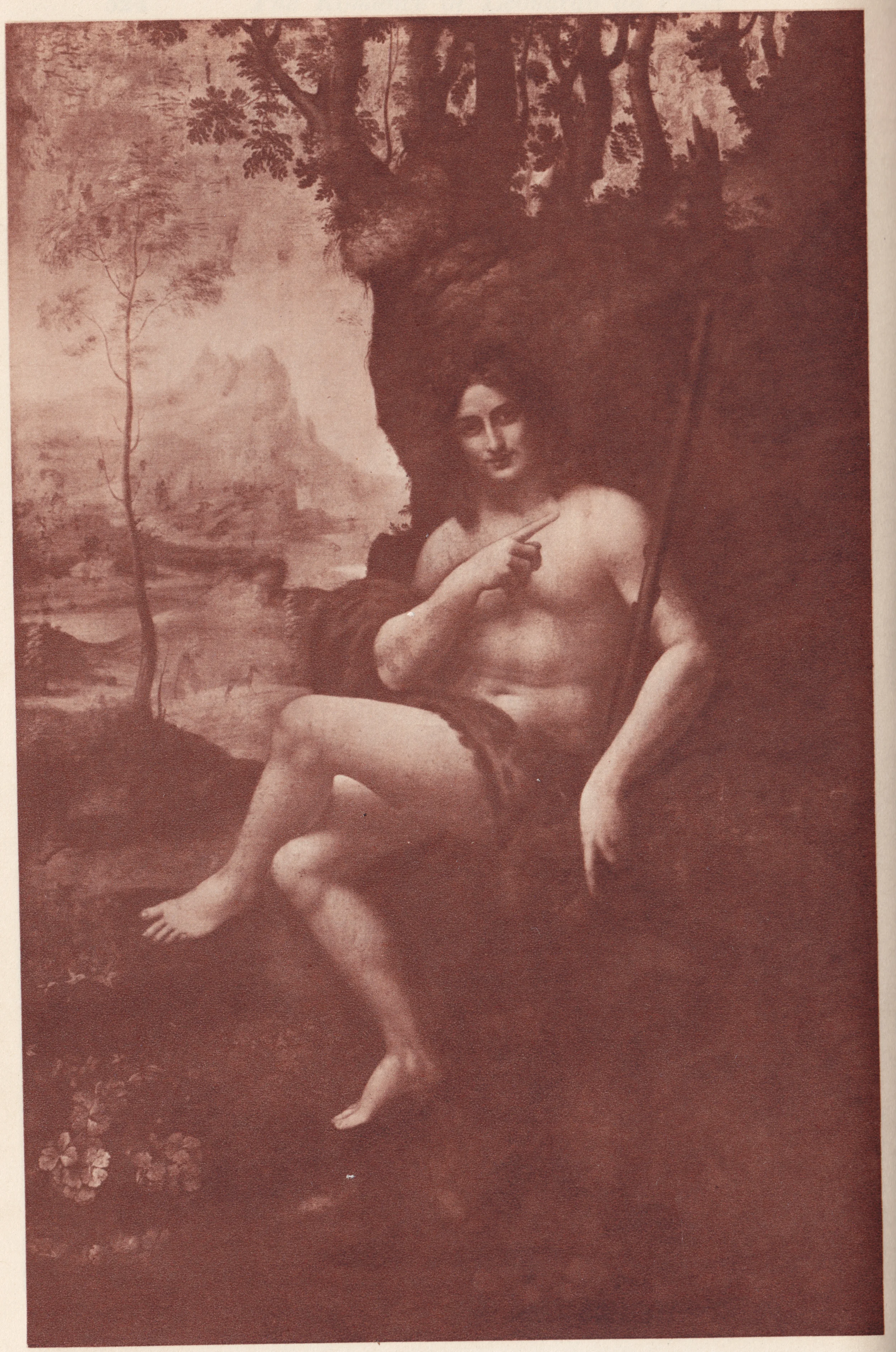 davinci-baccus--romance.jpg