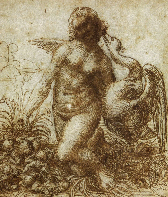 leda2.jpg