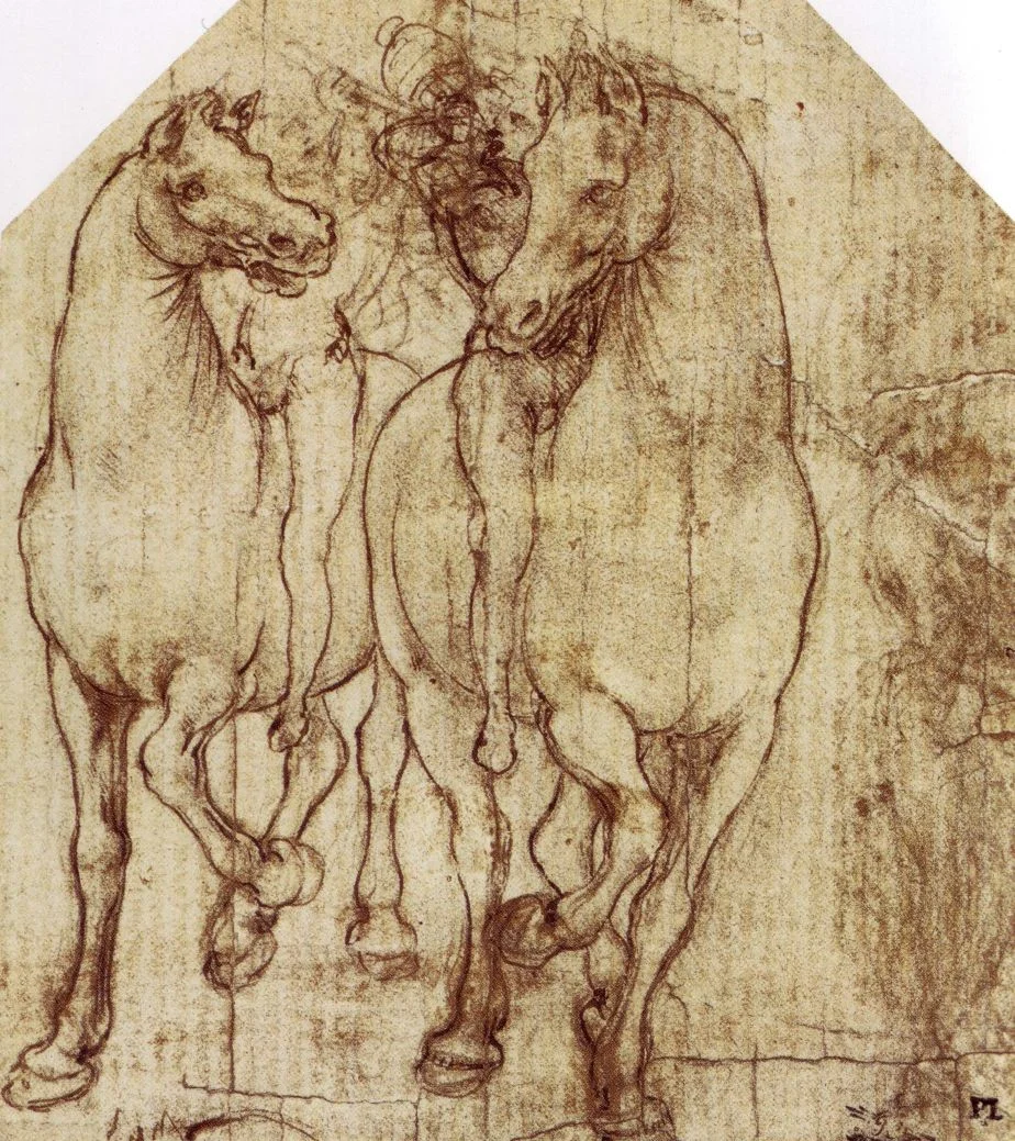 studyofhorseandrider1.jpg