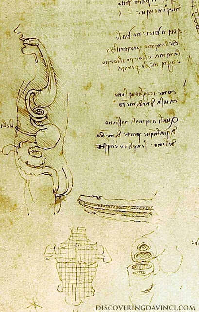 Leonardo da Vinci - Wikipedia