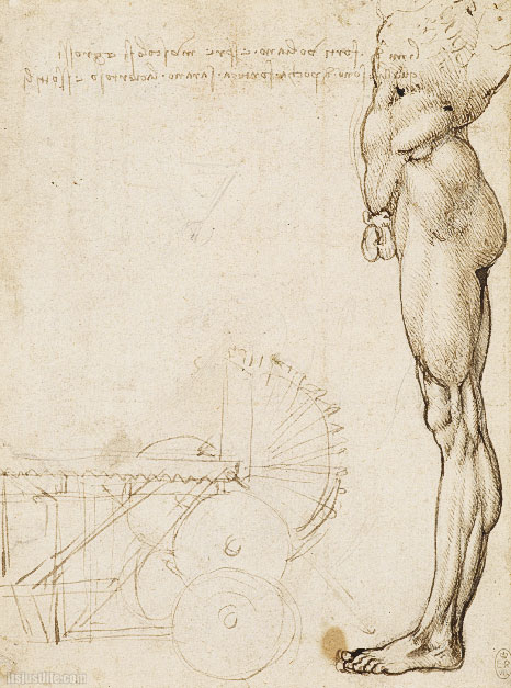 davinci-works-anatomy-sketches-nude-in-profile-machinery-.jpg