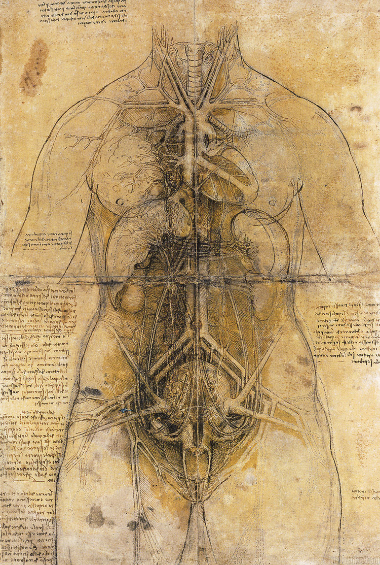 davinci-works-sketches-anatomy-woman-.jpg