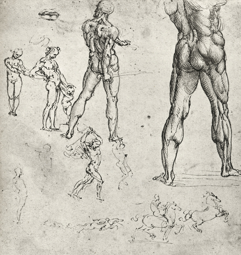 davinci-works-sketches-nudes-muscles.jpg