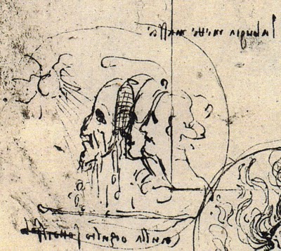 The detail from a page of Leonardo's notebooks shows he thought of the idea of superimposing faces. This page has the following cryptic passage with it which I think alludes to the faces being combined. A further explanation will be presented in it's chapter in my book. 