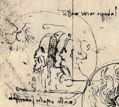 image40.jpg