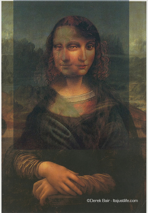 Mon Salai — Discovering da Vinci: