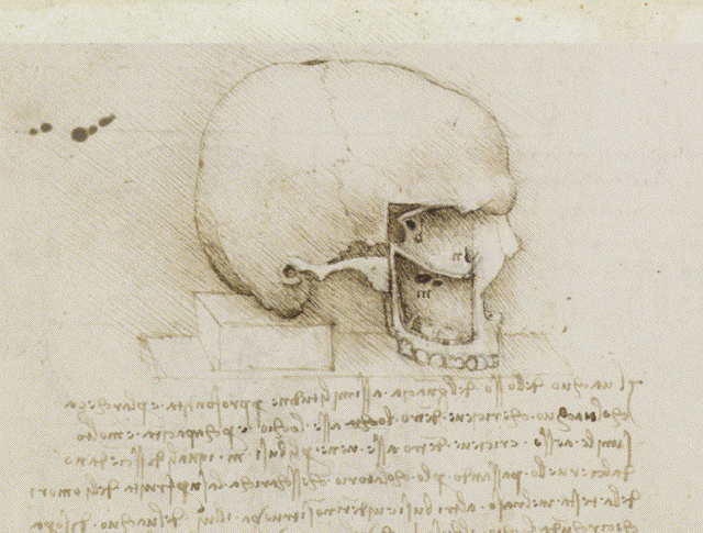 skulltrans2r2.gif