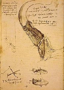davinci-codex-flightofbirds-10-gearing&waterbarrier.jpg