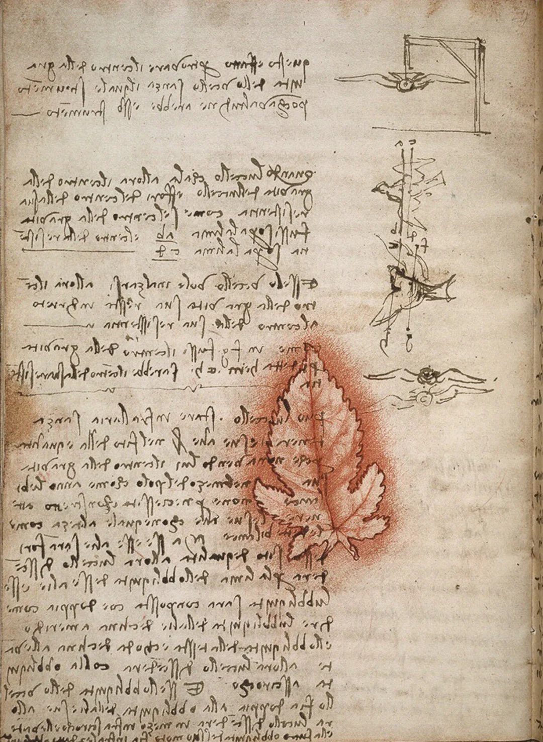 davinci-works-notebooks-flightofbirds-03.jpg