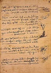 davinci-codex-flightofbirds-13-wingandwind.jpg