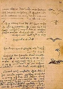 davinci-codex-flightofbirds-07-flightmechanics.jpg