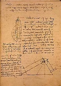 davinci-codex-flightofbirds-02-heaviness.jpg