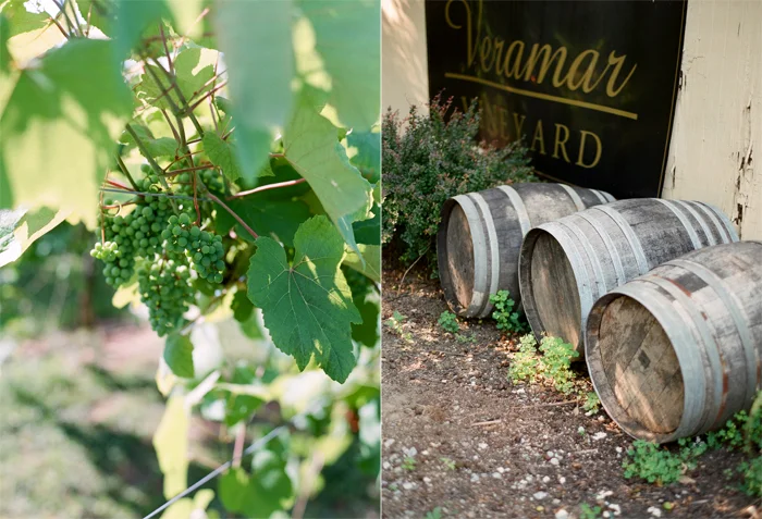 grapes-wine-and barrels.jpg