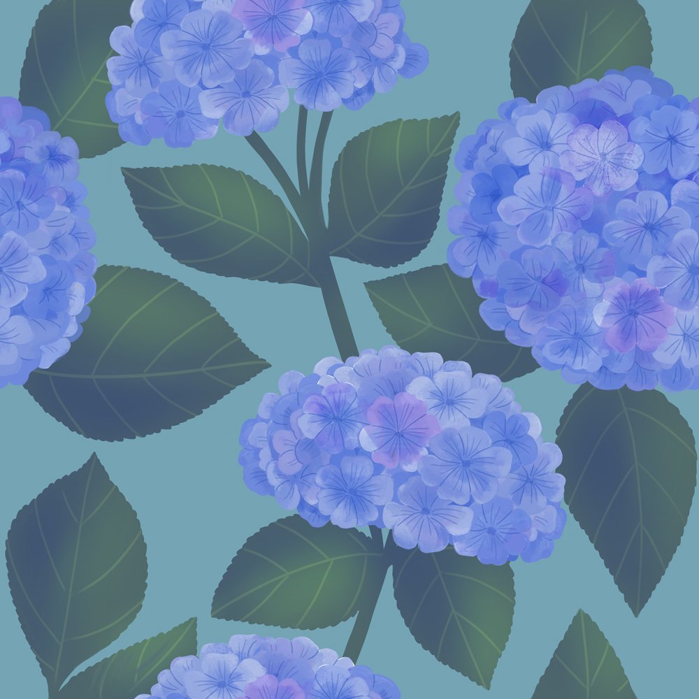 blue-hydrangea.jpg