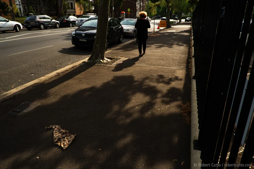 Lost Leopard #2, Sydney Streets (with Fuji X-Pro 1 & 18mm f/2 lens, and Alien Skin Exposure 4)