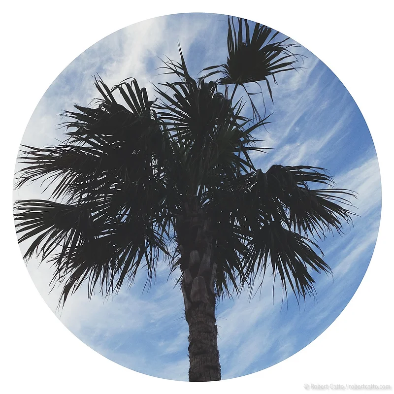 Rando #14: Sydney, New South Wales (with iPhone 4S)