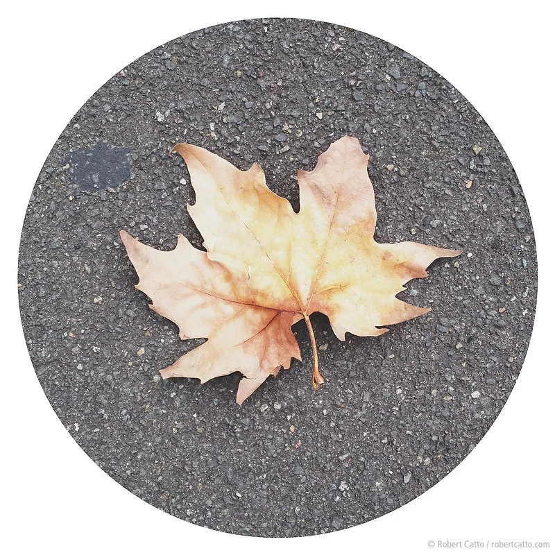 Rando #35: Darlinghurst, New South Wales (with iPhone 4S)