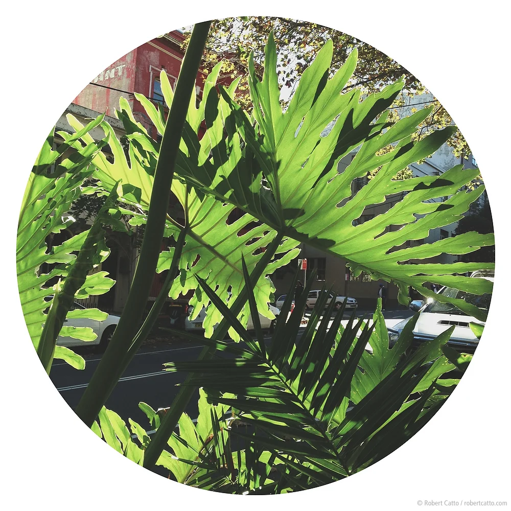 Rando #61: Surry Hills, New South Wales (with iPhone 4S)