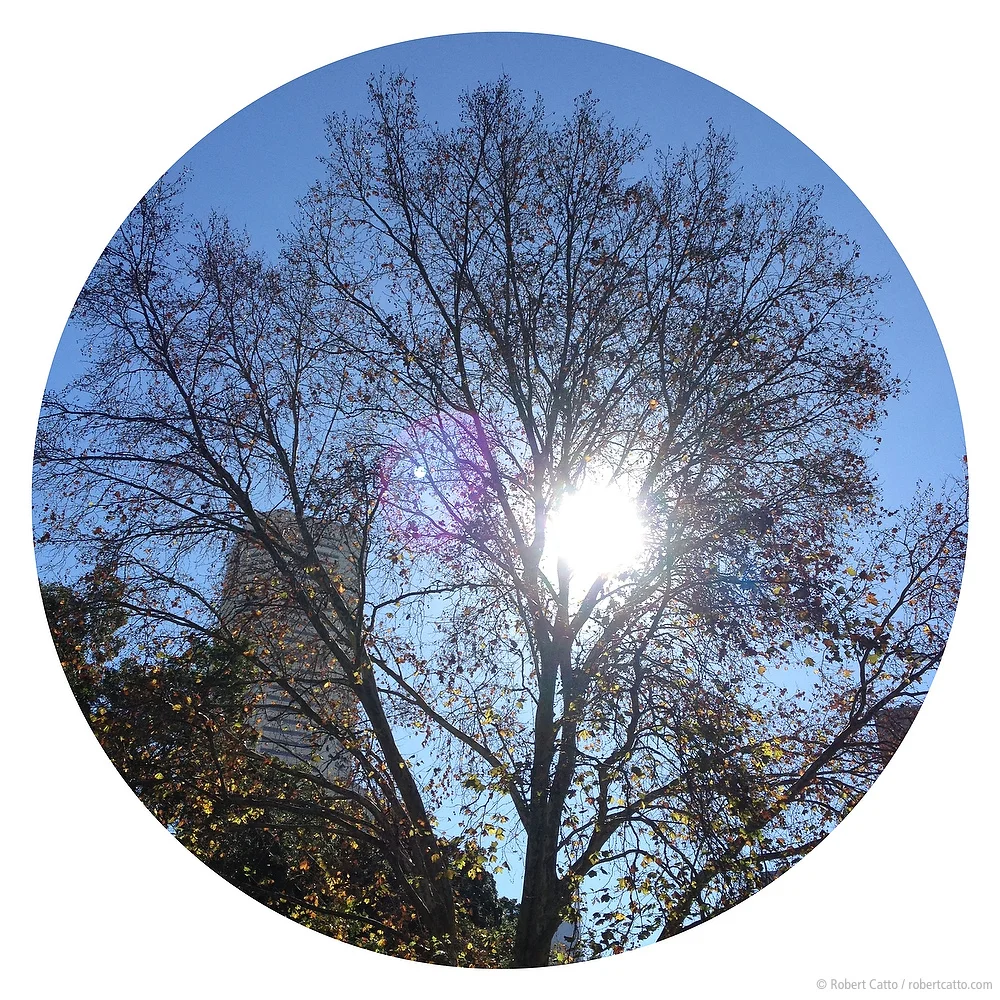 Rando #85: Sydney, New South Wales (with iPhone 4S)