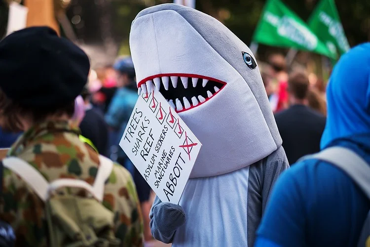 March In August rally at Hyde Park, Sydney (with Fuji X-Pro 1 & 56mm f/1.2, 18mm f/2)