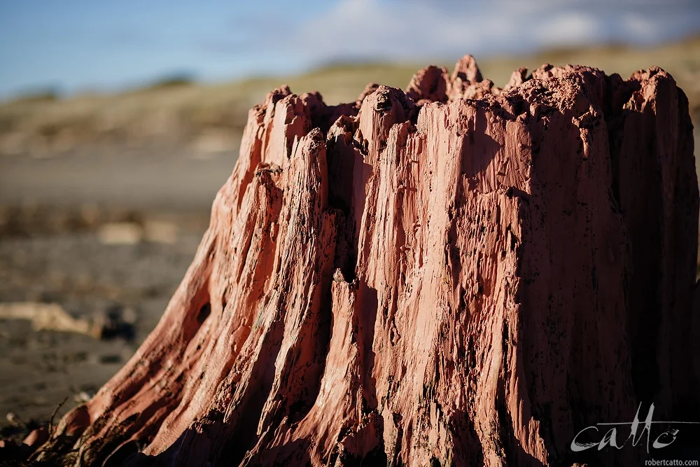 Lost & Found #18: Red Stump, Waikanae New Zealand 2006