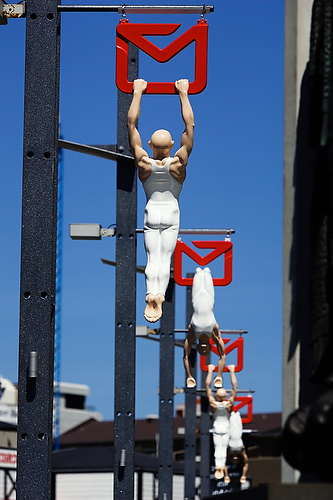Waitangi Park