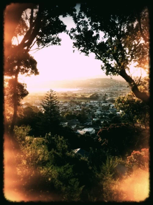 Okay, so, the iPhone 4 camera is a BIG improvement in detail & resolution from the 3G - not a big surprise there, really.  But, note to self, using the built-in HDR function actually does take several exposures and stack them - so on windy days,…