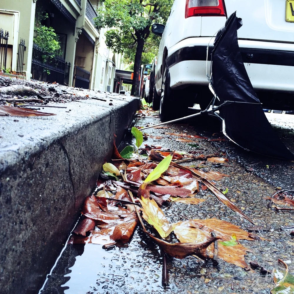 Les Parapluies de Surry Hills