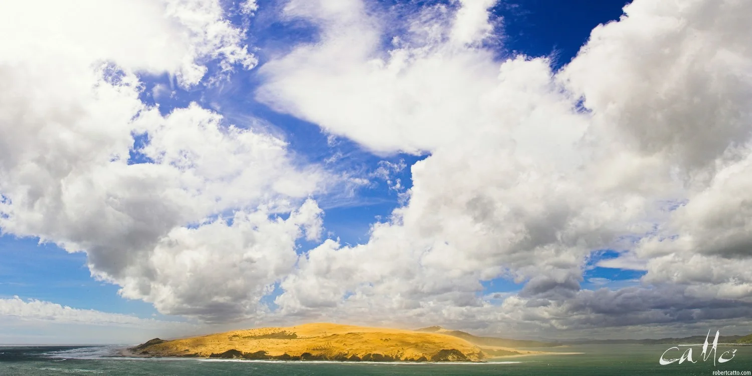 Lost & Found #41: Opononi, Northland New Zealand, 2006