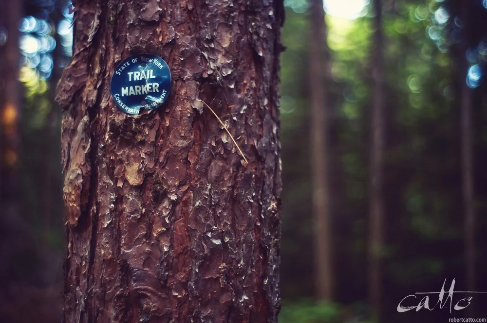 Lost & Found #43: Adirondack State Park, New York, 2010
