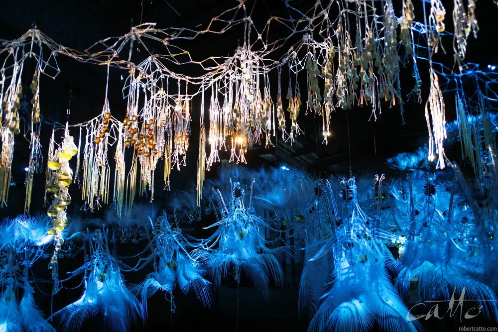 Lost & Found #47: Sydney Biennale at Cockatoo Island, 2012